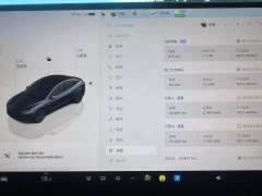 Tesla Model 3 Rear-Wheel Drive - ფოტო 9