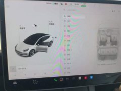 Tesla Model 3 Facelift Standard Range RWD Upgrade 3D1 - ფოტო 7