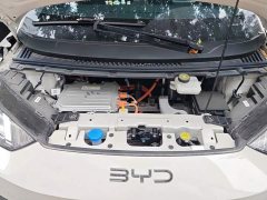 BYD Seagull Smart Drive 405km Freedom Edition - ფოტო 10