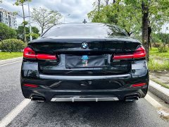 BMW 5 Series 530Li Luxury M Sport Package - ფოტო 3