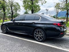 BMW 5 Series 530Li Luxury M Sport Package - ფოტო 4