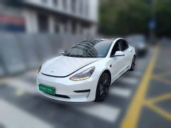 Tesla Model 3 Rear-Wheel Drive - ფოტო 1