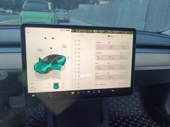 Tesla Model 3 Rear-Wheel Drive - ფოტო 12