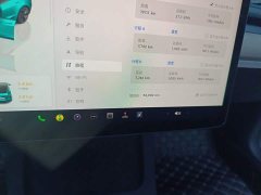 Tesla Model 3 Rear-Wheel Drive - ფოტო 13