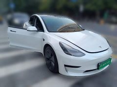 Tesla Model 3 Rear-Wheel Drive - ფოტო 3