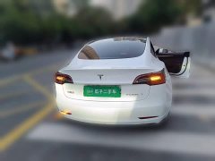 Tesla Model 3 Rear-Wheel Drive - ფოტო 5