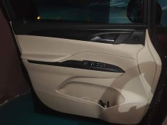 Buick GL8 ES Luxe 653T Prestige - ფოტო 7