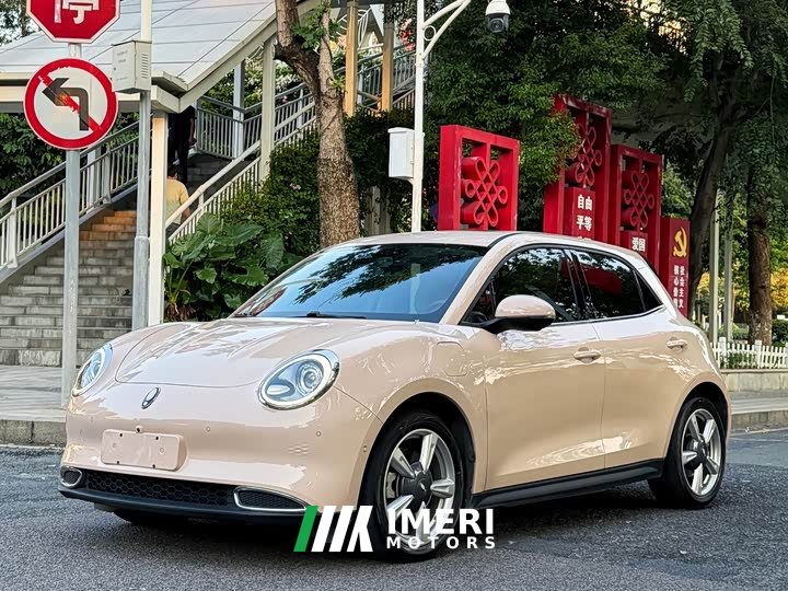 ORA Good Cat 400km Standard Range Athena Edition Ternary Lithium - ავტომობილი ჩინეთიდან
