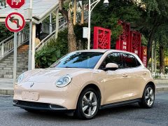 ORA Good Cat 400km Standard Range Athena Edition Ternary Lithium - ფოტო 1