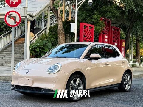 2022 ORA Good Cat 400km Standard Range Athena Edition Ternary Lithium - ავტომობილი ჩინეთიდან