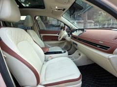 ORA Good Cat 400km Standard Range Athena Edition Ternary Lithium - ფოტო 16