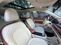 ORA Good Cat 400km Standard Range Athena Edition Ternary Lithium - ფოტო 20