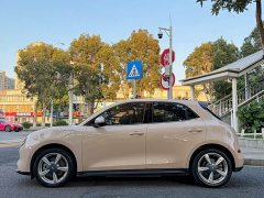 ORA Good Cat 400km Standard Range Athena Edition Ternary Lithium - ფოტო 4