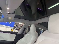Tesla Model 3 Long Range All-Wheel Drive - ფოტო 13