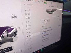 Tesla Model 3 Long Range All-Wheel Drive - ფოტო 7
