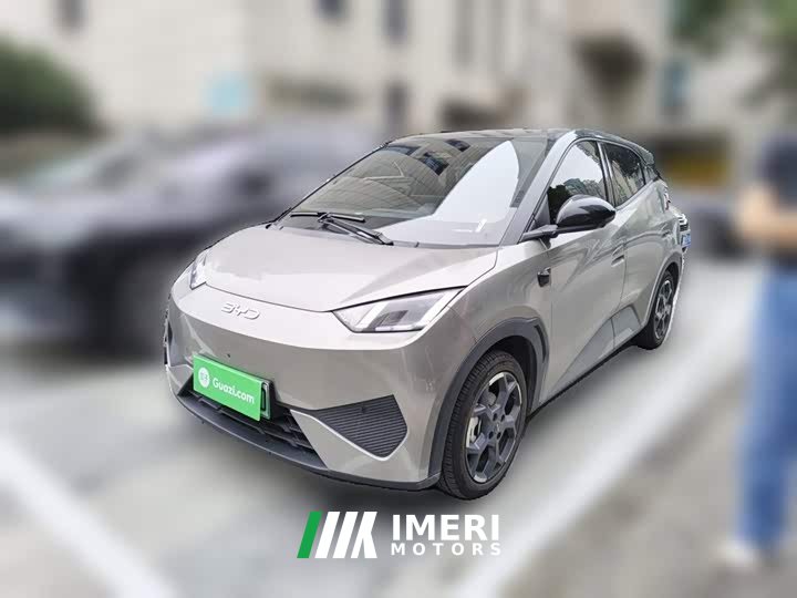 BYD Seagull Smart Driving Edition 305km Freedom Edition