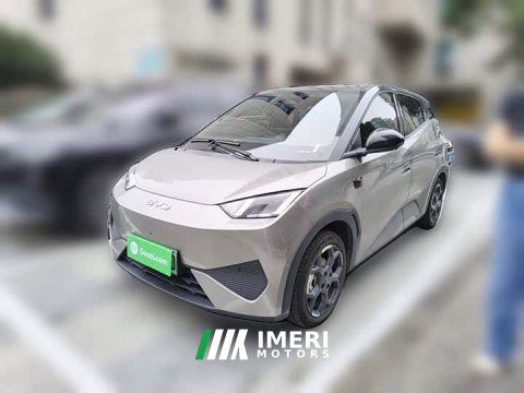 2025 BYD Seagull Smart Driving Edition 305km Freedom Edition - ავტომობილი ჩინეთიდან