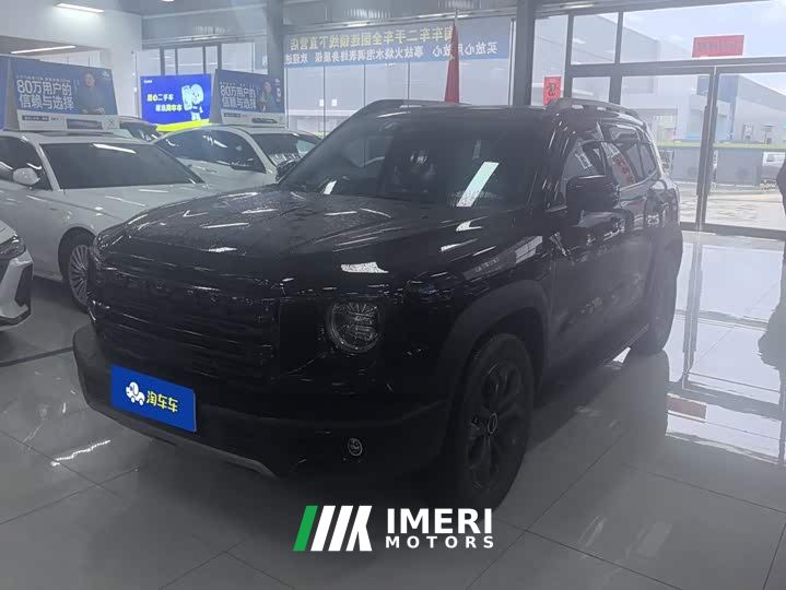 Great Wall Dachshund 1.5T DCT Border Collie Edition