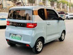 Wuling Hongguang MINIEV Macaron Fashion Edition LFP Battery - ფოტო 6