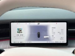 XPeng X9 Extended Range 1602 Ultra - ფოტო 12