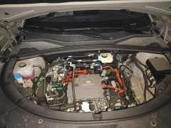 BYD Song Plus New Energy EV Smart Driving Edition 520km Premium - ფოტო 16