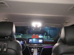 FAW Red Flag HQ9 PHEV 2.0T AWD Luxury - ფოტო 14