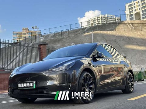 2021 Tesla Model Y Standard Range RWD - ავტომობილი ჩინეთიდან