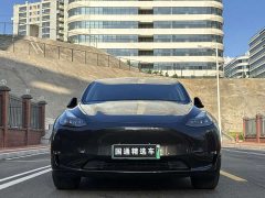 Tesla Model Y Standard Range RWD - ფოტო 2