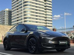 Tesla Model Y Standard Range RWD - ფოტო 3