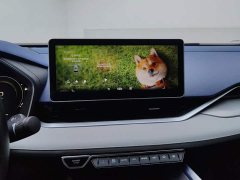 Geely Xingrui 2.0T Diesel Premium Edition - ფოტო 13