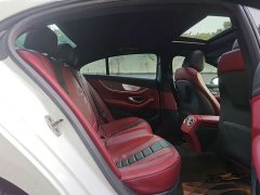 Mercedes-Benz CLS 300 Luxury - ფოტო 8