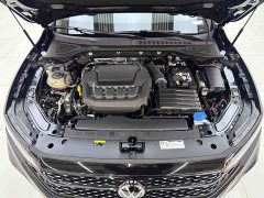 Volkswagen Passat Outstanding Edition 380TSI Starry Sky Dragon Prestige - ფოტო 9
