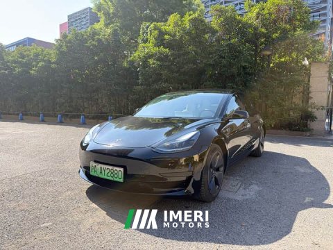 2022 Tesla Model 3 Rear-Wheel Drive - ავტომობილი ჩინეთიდან