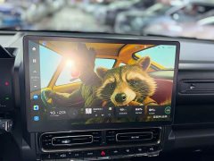 Haval Manlong New Energy Hi4 145 Explorer Edition - ფოტო 11