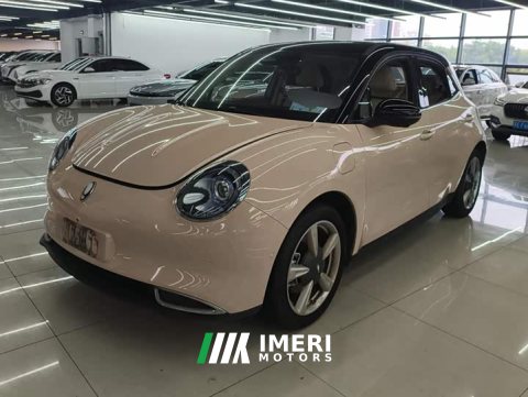 2023 ORA Good Cat 401km Standard Range Luxury LFP - ავტომობილი ჩინეთიდან