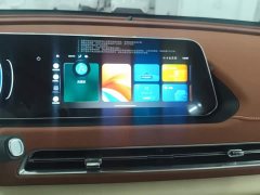 ORA Good Cat 401km Standard Range Luxury LFP - ფოტო 13