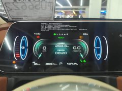 ORA Good Cat 401km Standard Range Luxury LFP - ფოტო 14