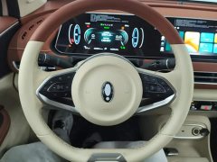 ORA Good Cat 401km Standard Range Luxury LFP - ფოტო 15