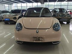 ORA Good Cat 401km Standard Range Luxury LFP - ფოტო 2