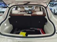ORA Good Cat 401km Standard Range Luxury LFP - ფოტო 4