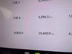 Xiaomi YU7 Rear-Wheel Drive Long-Range Edition - ფოტო 10