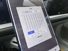 HiPhi Y 560km Pioneer Edition - ფოტო 10