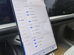 HiPhi Y 560km Pioneer Edition - ფოტო 9