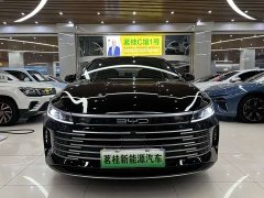 BYD Destroyer 05 Glory Edition DM-i 55KM Luxury - ფოტო 2