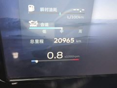Geely Xingyue L 2.0TD DCT EVO FWD Luxury - ფოტო 8