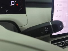 Changan Qiyuan Q05 405Max - ფოტო 16