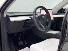 Tesla Model Y Rear-Wheel Drive - ფოტო 10