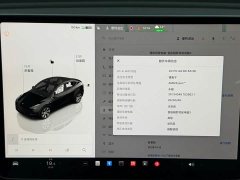 Tesla Model Y Rear-Wheel Drive - ფოტო 18