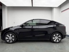 Tesla Model Y Rear-Wheel Drive - ფოტო 4