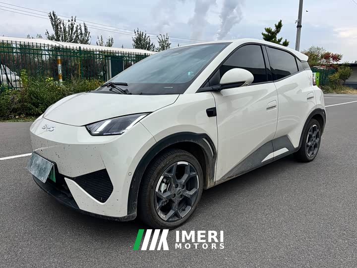 BYD Seagull Smart Drive 405km Flight Edition - ავტომობილი ჩინეთიდან